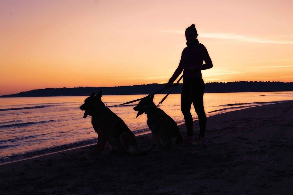 4 Ways Pets Can Help Reduce Your Risk of Heart Disease - 11 1554500214