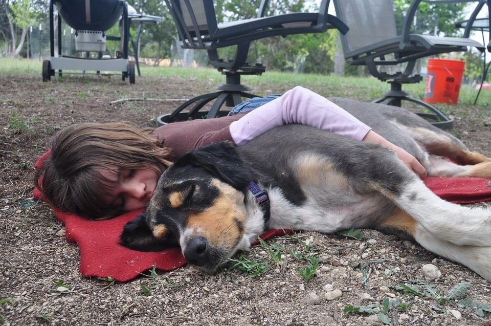 4 Ways Pets Can Help Reduce Your Risk of Heart Disease - 12 1554500253
