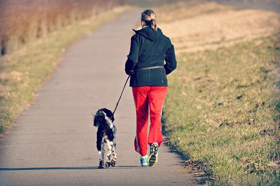 4 Ways Pets Can Help Reduce Your Risk of Heart Disease - 13 1554500320