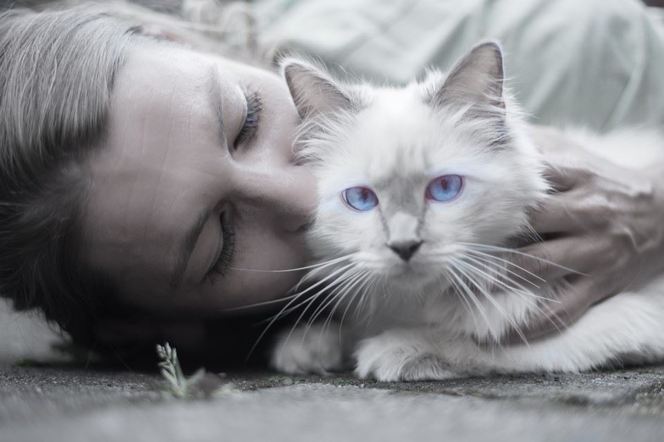 4 Ways Pets Can Help Reduce Your Risk of Heart Disease - 15 1554500455