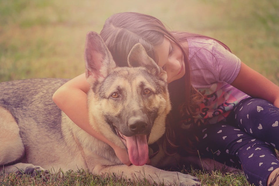 6 Reasons to Treat Pets as Members of the Family - 3 1554496834