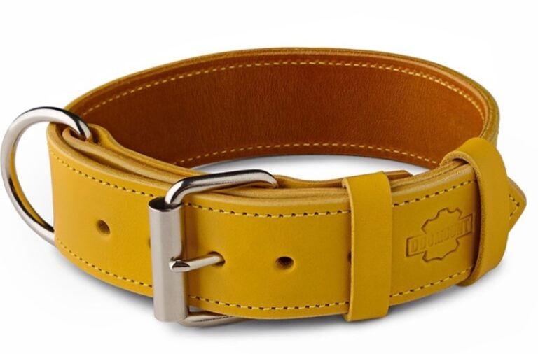 Mustard Yellow Dog Collar