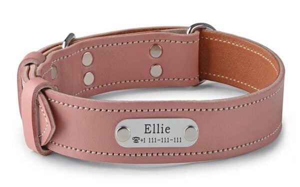 Dog Collar With The Name Pink