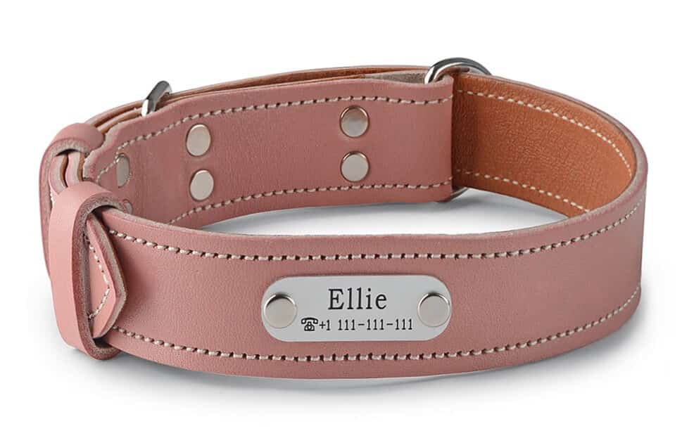 Dog Collar With The Name Pink