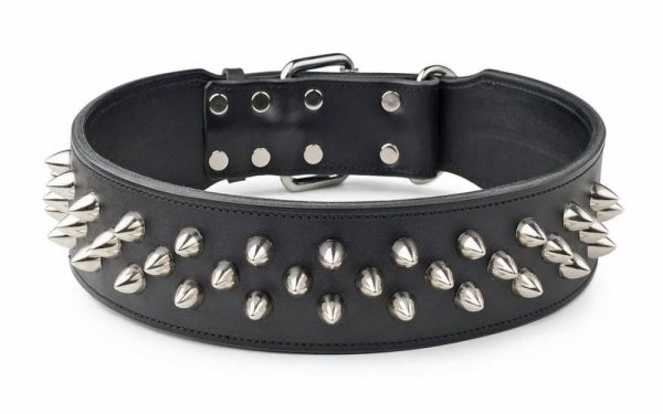 Leather Studded Dog Collar