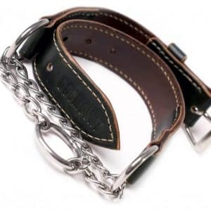 Martingale Dog Collar