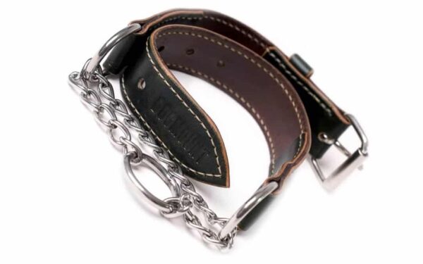 Martingale Dog Collar
