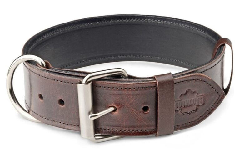 Posh Dark Brown Marble Dog Collar