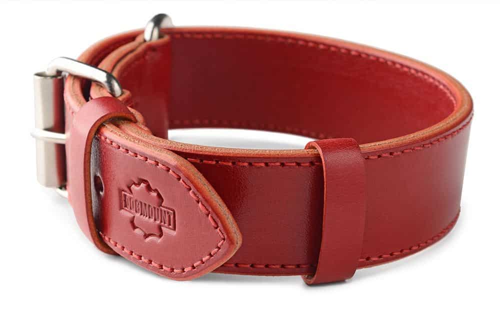 Ruby Red Dog Collar with Black Leather + Multicolored Stitching