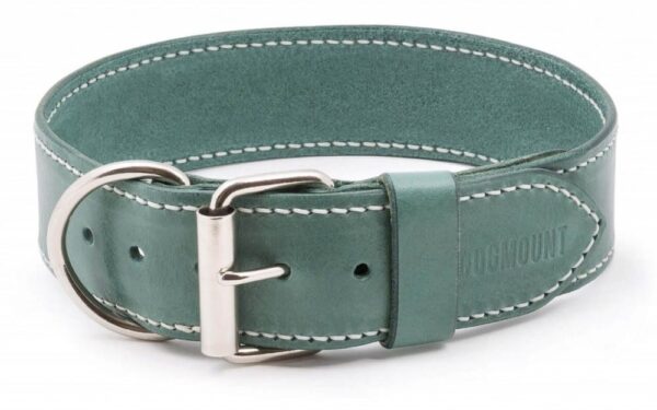 Green Dog Collar Verdi