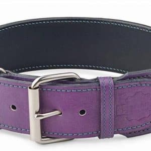 Extra Wide Dog Collar & Violet Dog Collar