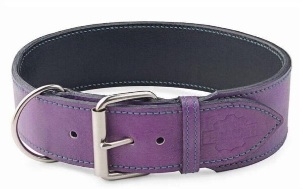 Extra Wide Dog Collar & Violet Dog Collar