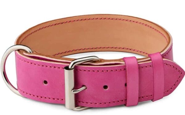 Pink Dog Collar Rosio