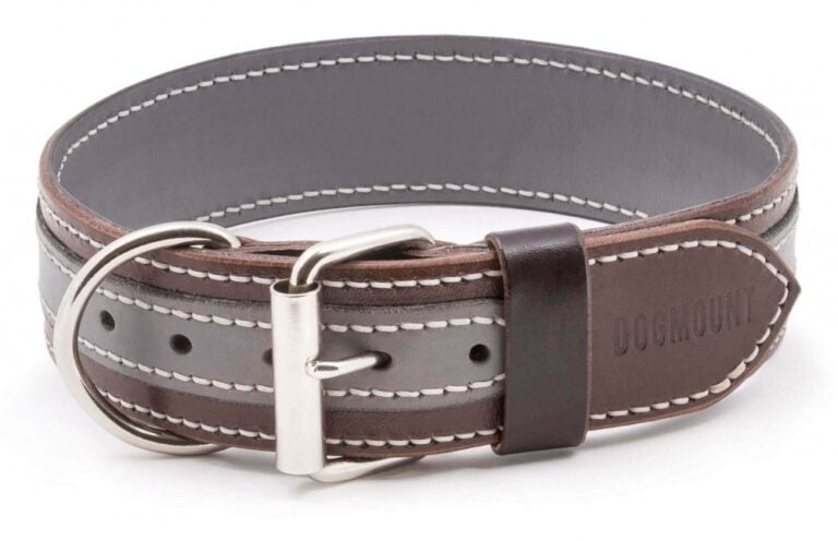 grey brown leather dog collar