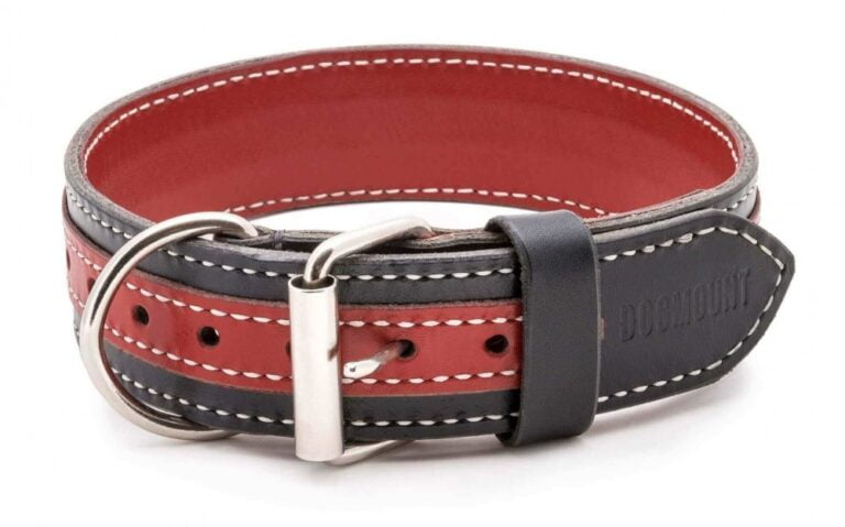 red and black dog collar