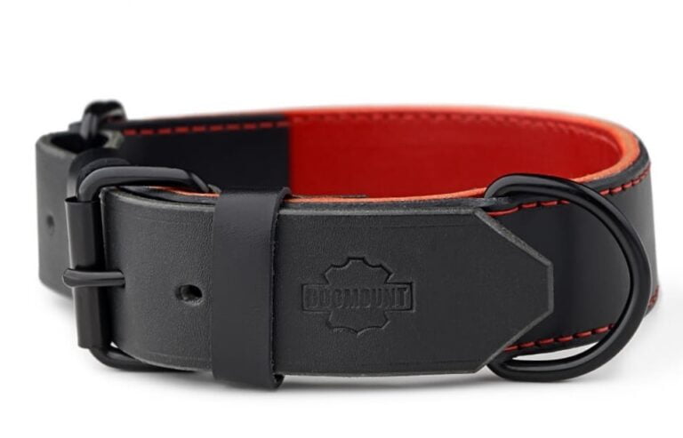 Choke Collar & Choker Collar Red and Black