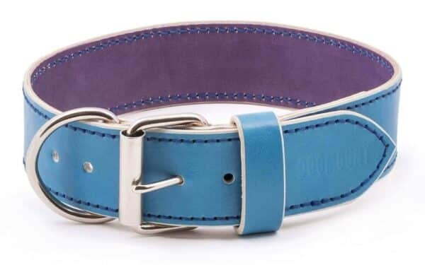 Blue Leather Dog Collar Ciana