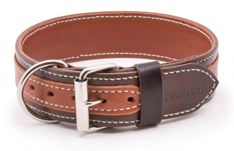 Classic Collar For Dogs Maronero