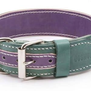 violet green leather dog collar