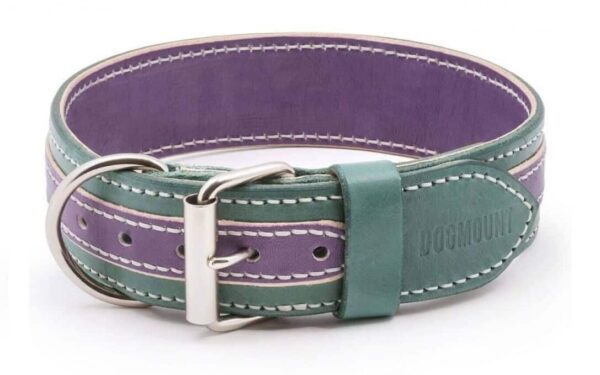 violet green leather dog collar