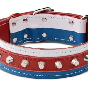 Tricolor Dog Collar