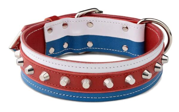 Tricolor Dog Collar