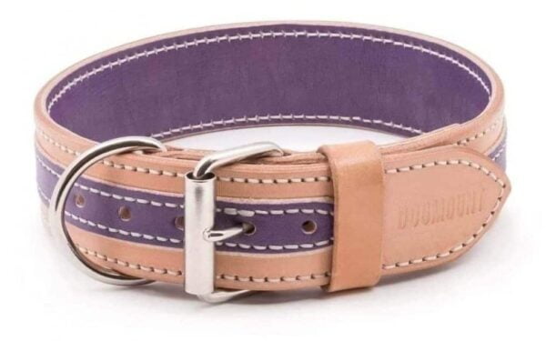 purple beige collar for dogs