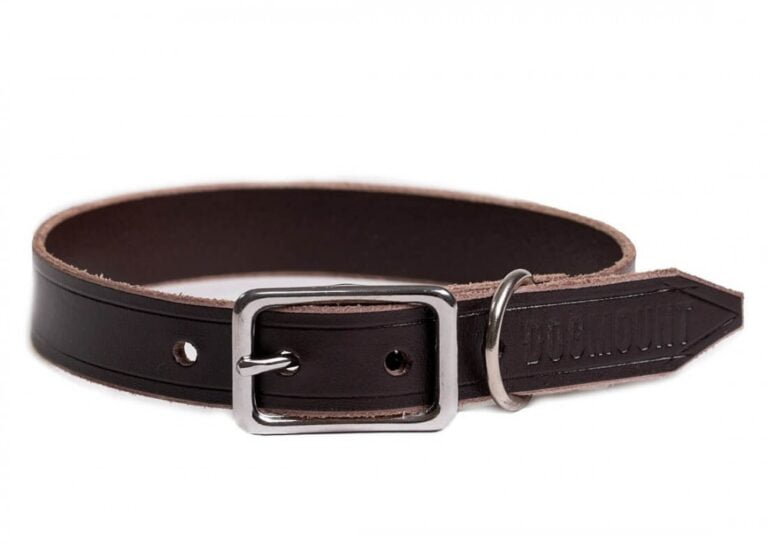 3/4″ Leather Dog Collar