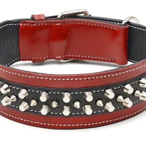 Wide Spiked Dog Collar