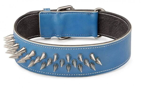 Leather Spiked Dog Collar