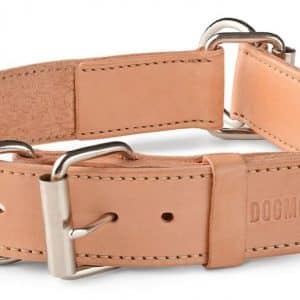 Dog Slip Collar