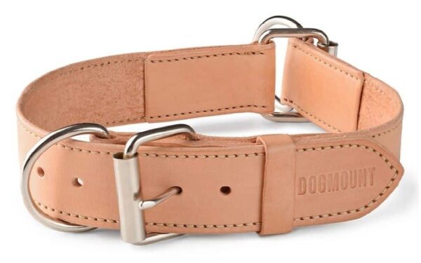 Dog Slip Collar