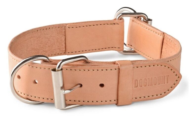 Dog Slip Collar