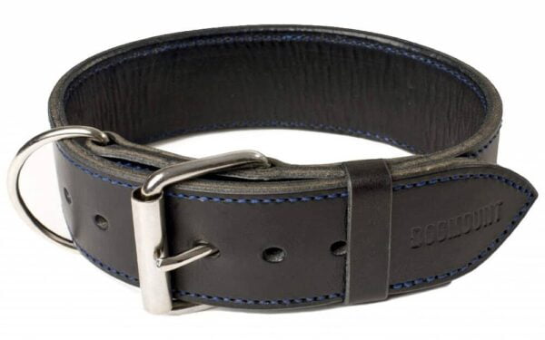 black leather dog collar