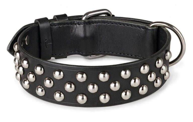 Black Studded Dog Collar
