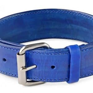 Oceanic Blue Dog Collar