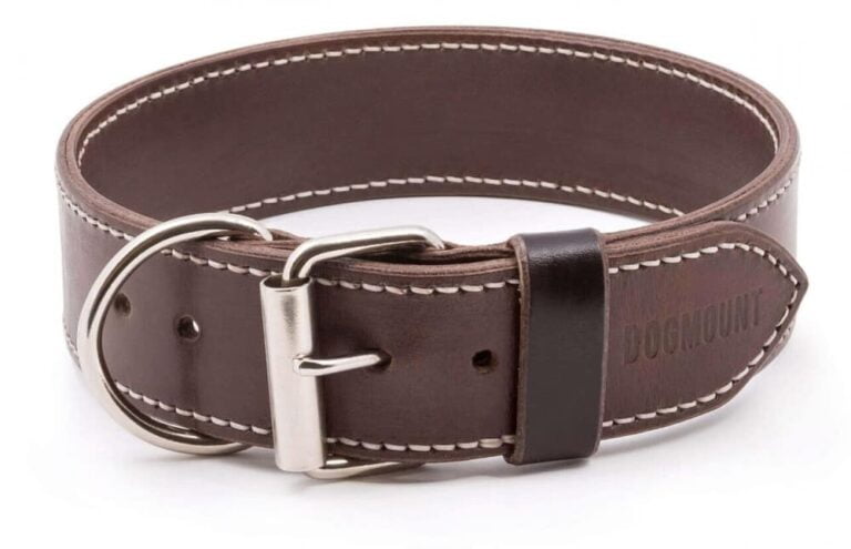brown leather Dog Collar