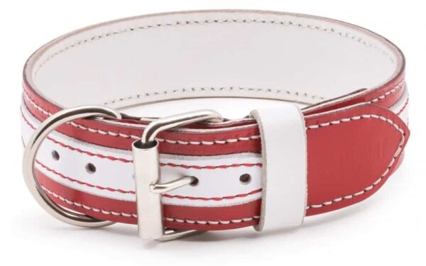 Red & White Leather Dog Collar
