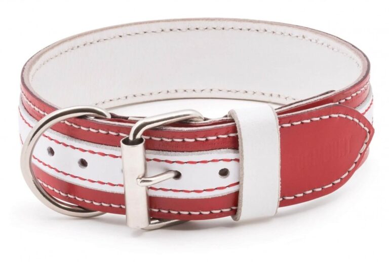 Red & White Leather Dog Collar