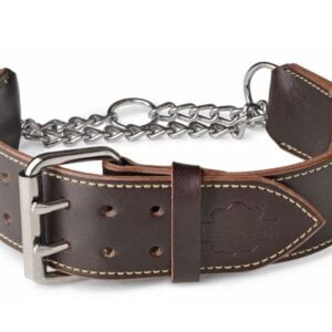 Dog Choke Collar and Leather Martingale Collar