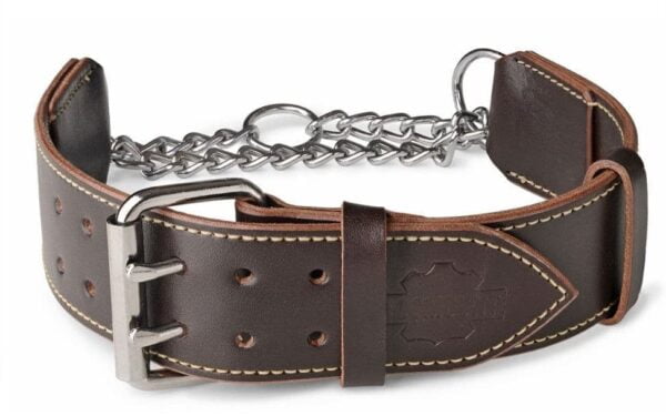 Dog Choke Collar and Leather Martingale Collar
