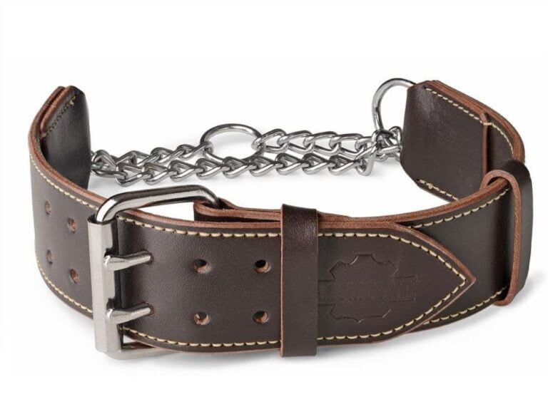 Dog Choke Collar and Leather Martingale Collar
