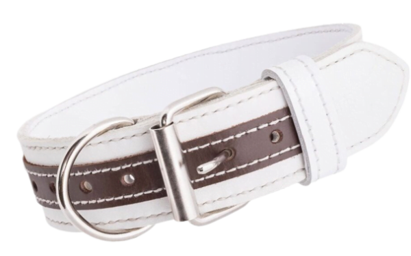 Dog Collar Marbian