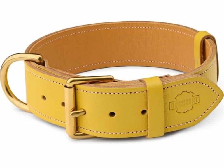 yellow leather dog collar