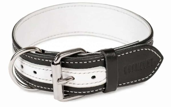 black and white dog collar