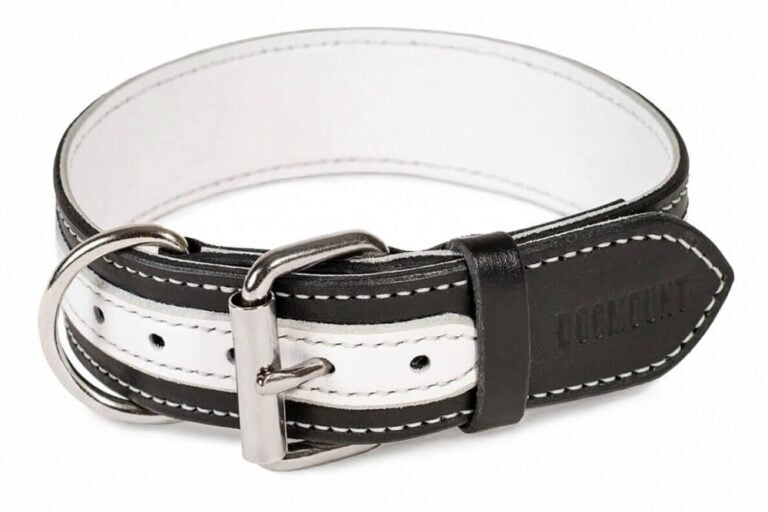 black and white dog collar