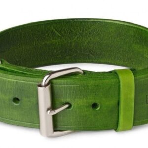 green leather dog collar