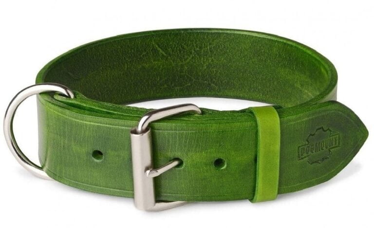green leather dog collar