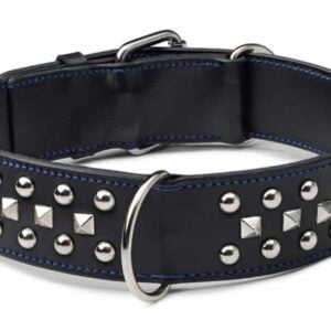 Decorated Leather Dog Collar