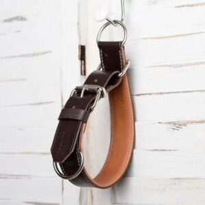 leather slip and choke dog collar